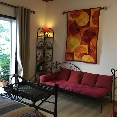 Saint-Hippolyte Mas Soleil Et Vignes住宿加早餐旅馆 外观 照片