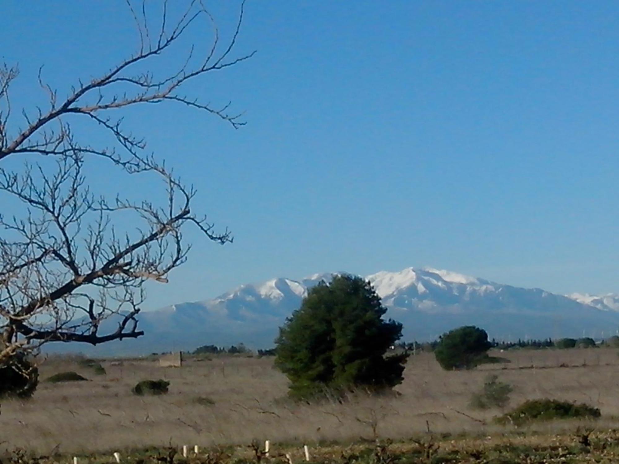 Saint-Hippolyte Mas Soleil Et Vignes住宿加早餐旅馆 外观 照片